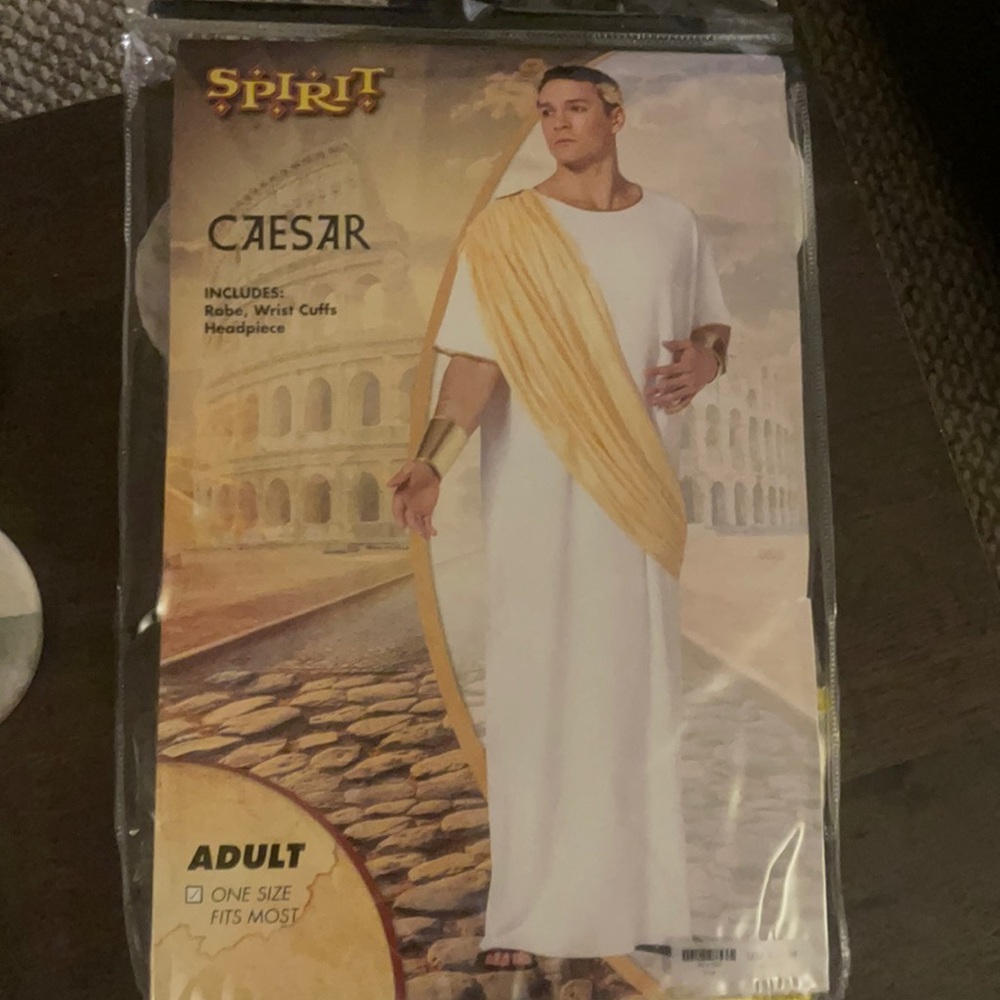 Caesar Costume by Spirit Halloween